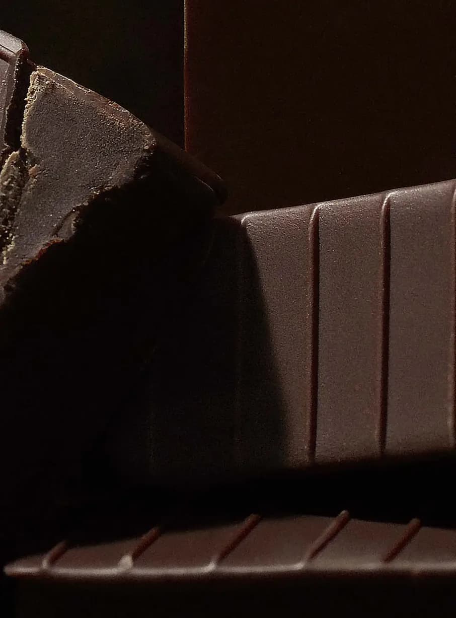 CHOCOLATE 컬렉션